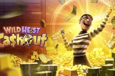 100cuci net