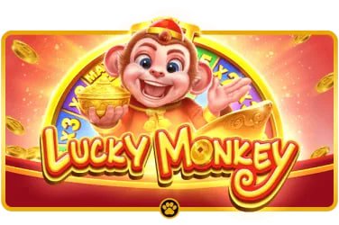 100cuci net